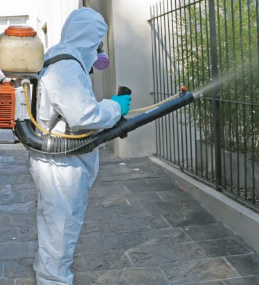 Fumigación y Limpieza